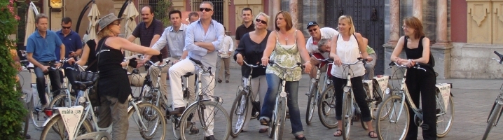 malaga bike tours costa del sol