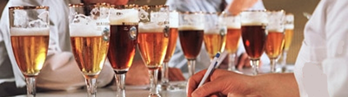 beer tasting spain
