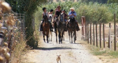 horse riding coin costa del sol spain