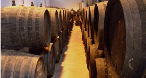 spanish wine tasting, cata de vinos, oenology courses costa del sol
