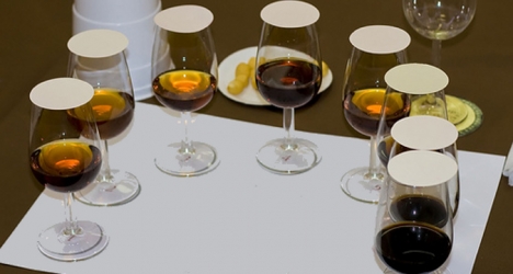 Spanish wine tasting courses, Oenology with andalucian ronda malaga wines