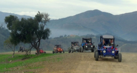 Memorable Gifts and Activities in Southern Spain