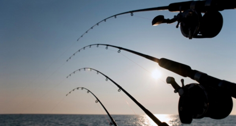 luxury vip fishing costa del sol