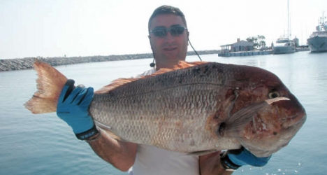 fishing holidays banus, fishing boat charters, boat rentals costa del sol