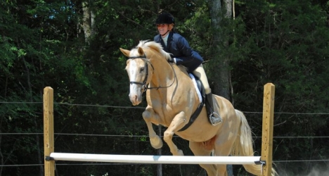 Pony clubs and horseriding schools in Malaga province