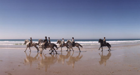 holiday things to do in tarifa, cadiz, costa de la luz