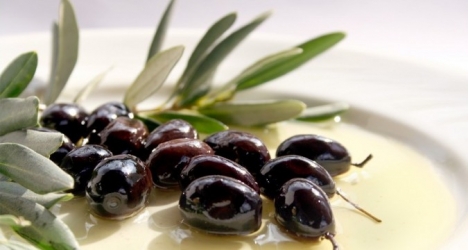 Andalusian Olive Oil discovery and tasting