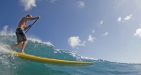 Stand Up Boarding
