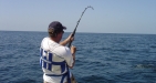 Big Game Fishing