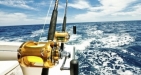 Big Game Fishing