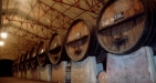 Malaga Wine Tour