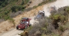 Off-Road Buggy Fun