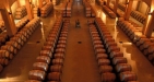 Ronda Wine Discovery