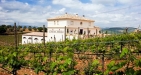 Ronda Wine Discovery