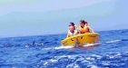 Mini Speedboat Trips
