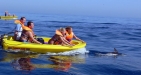 Mini Speedboat Trips
