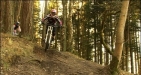 DownHill Biking