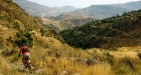 DownHill Biking