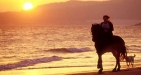 Beach Horseriding