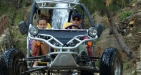 Buggy & 4X4