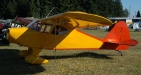 Piper 1948 Experience