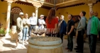 Wine Discovery