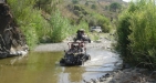 Off-Road Buggy Fun