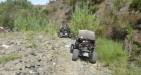 Off-Road Buggy Fun