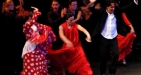 Flamenco Night