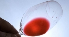 Ronda Wine Discovery