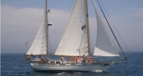 Memorable Gifts and Activities in Southern Spain