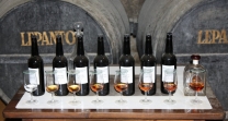 sherry wineries visits tours, jerez wines, andalucian wineries and gastronomic