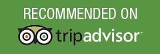 tripadvisor dmc marbella