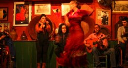 flamenco show malaga