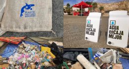 Beach cleaning malaga